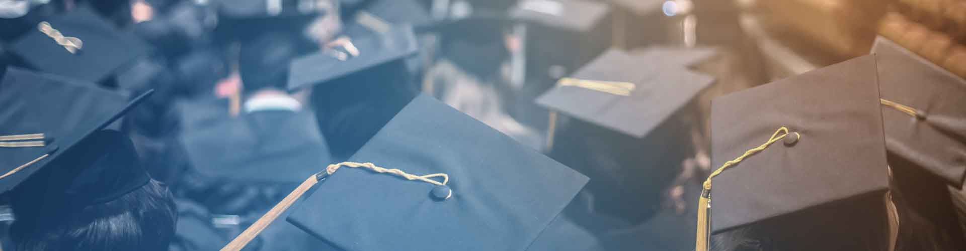 AI as Pedagogical Partner in Language Education